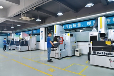 중국 Senlan Precision Parts Co.,Ltd.