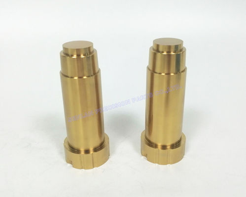 H13 (1.2344) 주사형 펌프 삽입자