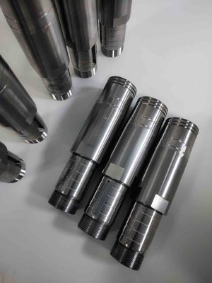 맞춤형 스태박스 (S136) 곰팡이 삽입자