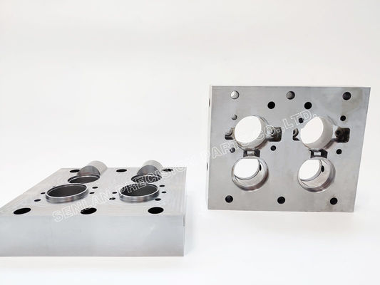 맞춤형 정밀 주사형조직 서비스